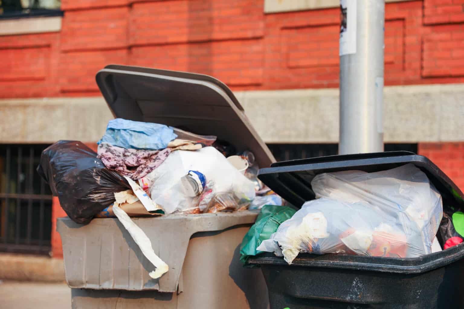 Mystery Surrounds Large Meat Dumping in Christchurch's Public Bins