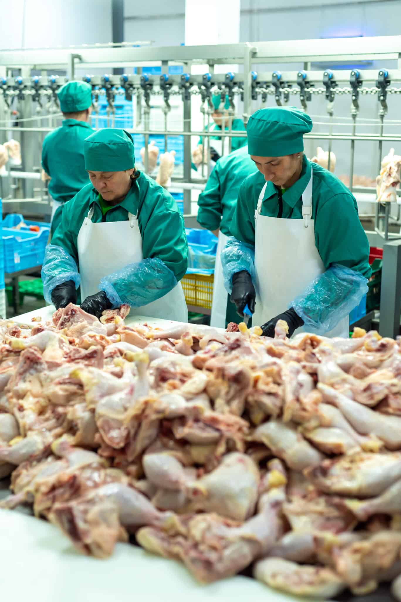 The State of Capital Investment in the Meat and Poultry Industry