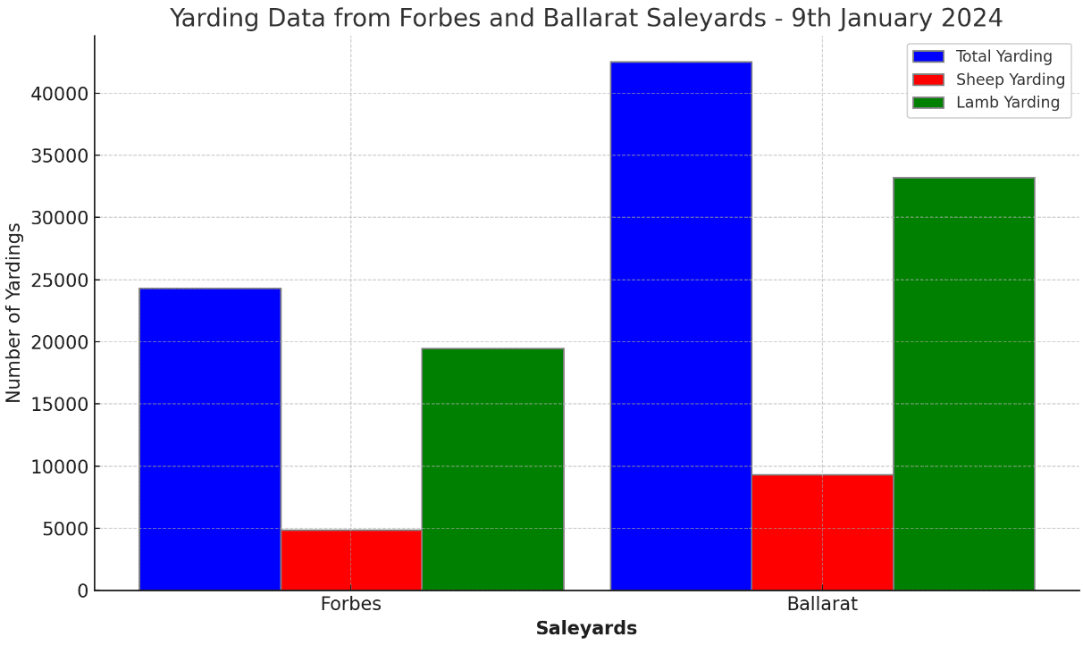 Forbes and Ballarat Saleyards Report A Surge in Sheep and Lamb Yarding